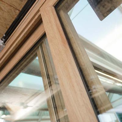 Muchtek Studioparadiso 16