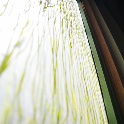 Muchtek Foa 29sept 62